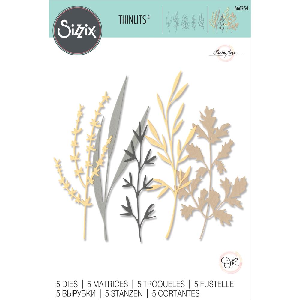 Sizzix Thinlits Dies: Woodland Stems, 5/Pkg, By Olivia Rose (666254)