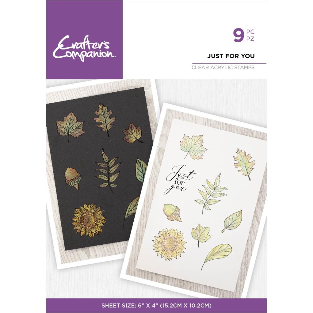 Crafter's Companion Inking and Stamping Clear Acrylic Stamp: Just for You (CASTJUFU)