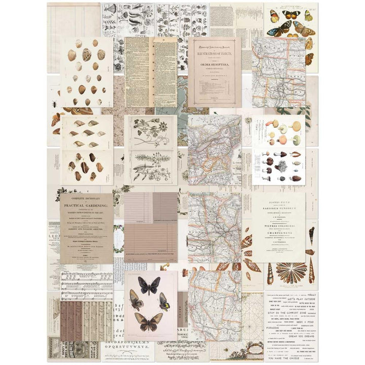 49 and Market Color Swatch: Toast 6"X8" Collage Sheets,40/Pkg (CST41176)
