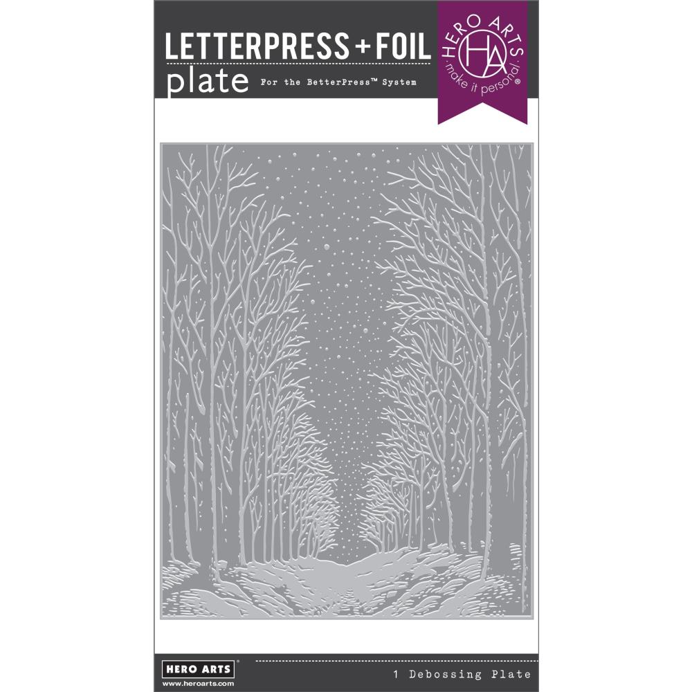 Hero Arts Letterpress & Foil Plate: Snowy Night (HAHP101)