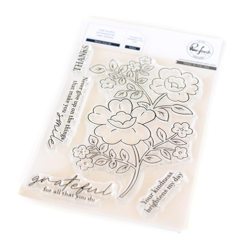 Pinkfresh Studio 4"X6" Clear Stamp Set: Never Give Up (5A0025G71G87F)