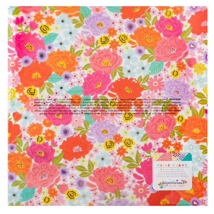 Paige Evans Adventurous 12"X12" Specialty Paper: Acetate (5A0026281G8SN)