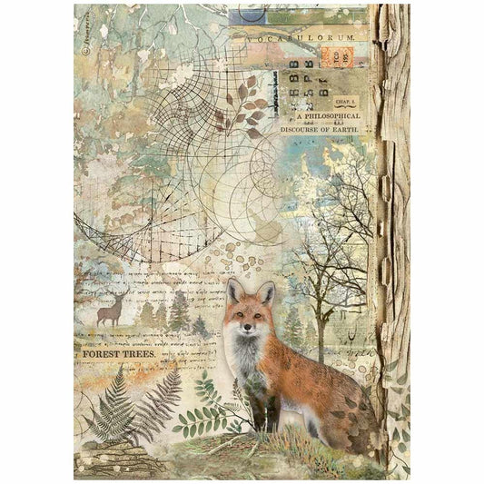 Stamperia Forest A4 Rice Paper Sheet: Fox (5A002CG71GG0N)