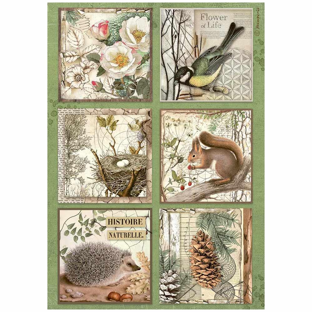 Stamperia Forest A4 Rice Paper Sheet: 6 Cards (5A002CGK1GG0P)