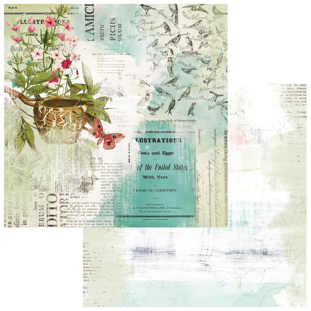 49 and Market Birdsong 12"X12" Double-Sided Cardstock: Trilling Moments (5A002C0X1GFKQ)