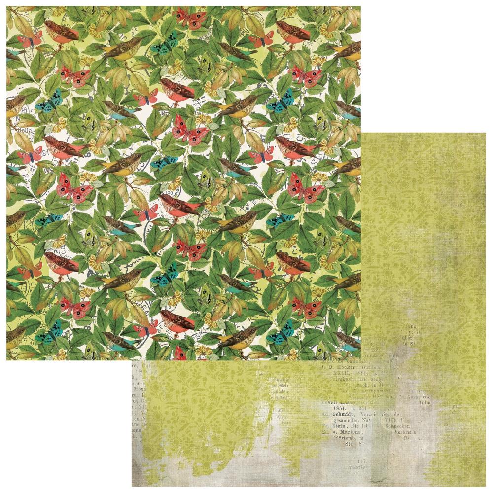 49 and Market Birdsong 12"X12" Double-Sided Cardstock: Harmoneous Symphany (5A002C0X1GFL6)