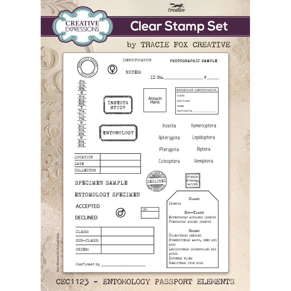 Creative Expressions 6"X8" Clear Stamp Set: Entomology Passport Elements, By Tracie Fox (5A002FF11GGVH)