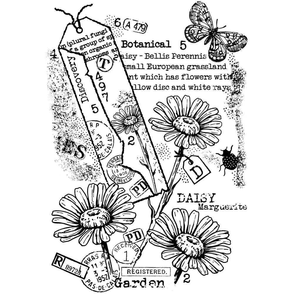Woodware 4"X6" Clear Stamp Singles: Garden Daisies (FRS1023)