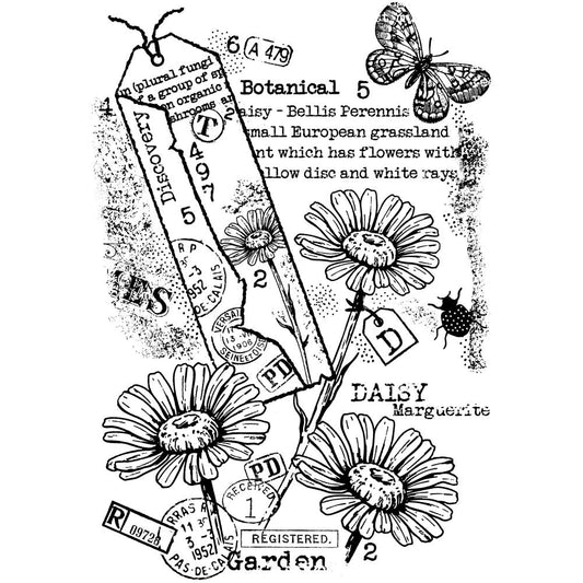 Woodware 4"X6" Clear Stamp Singles: Garden Daisies (FRS1023)