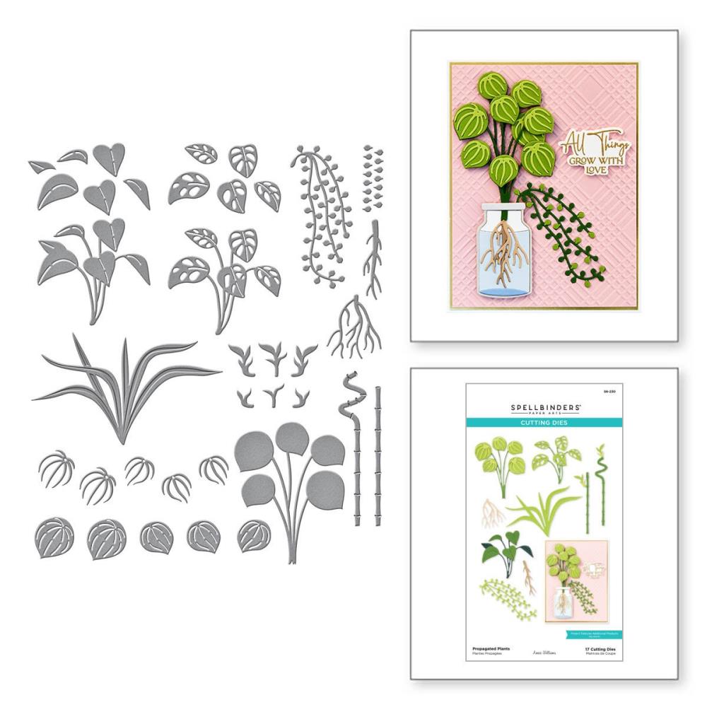 Spellbinders Etched Dies: Propagated Plants, By Annie Williams (S6-230)