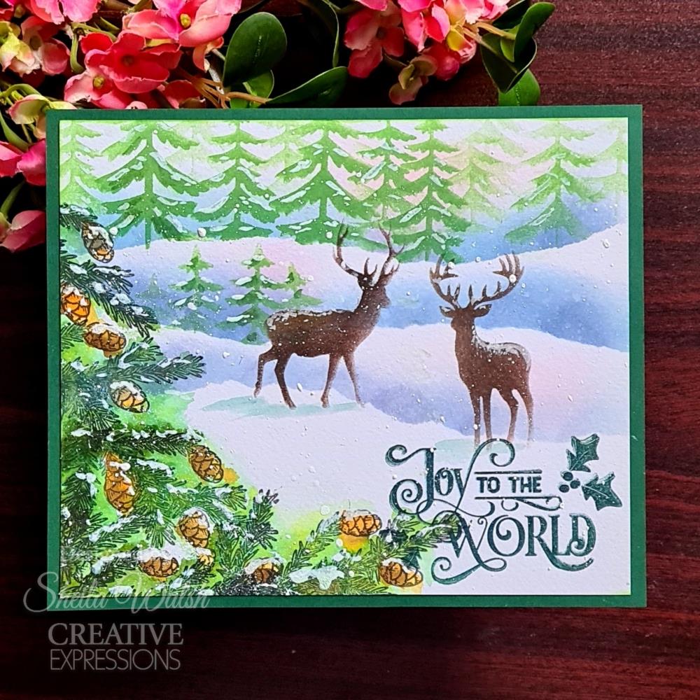 Creative Expressions Taylor Made Journals 6"X6" Stencil: Woodland Friends (5A002B511GDMS)