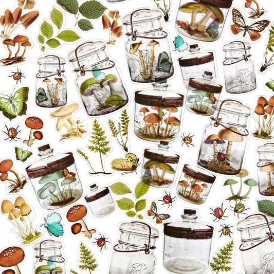 49 and Market Vintage Artistry Nature Study Acetate Shapes: Specimen (NS23220)