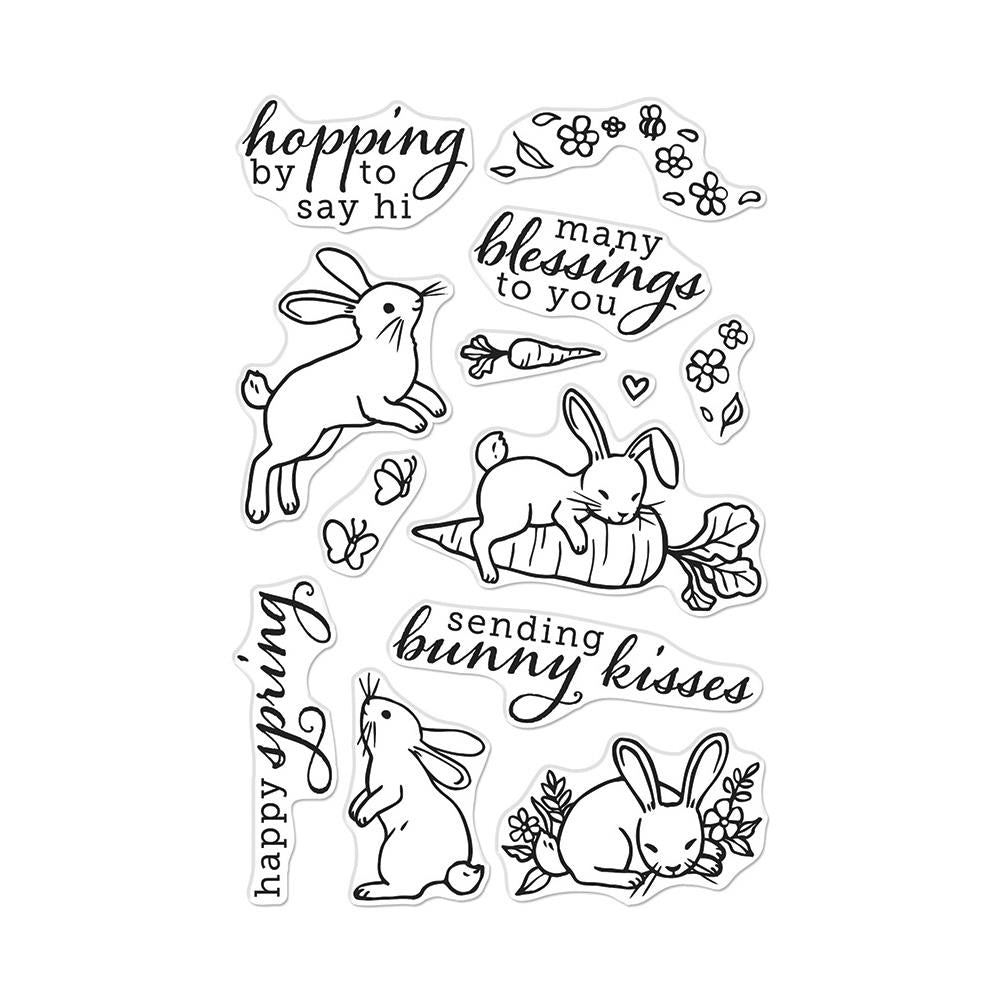 Hero Arts 4"X6" Clear Stamps: Spring Bunny (HACM742)