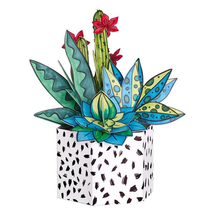 Faber Castell Pop Up Coloring Bouquet: Succulents (5A002BRM1GF97)