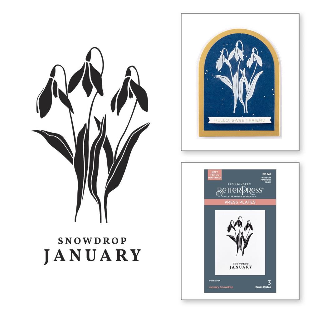 Spellbinders Florals Through The Year Press Plates: January Snowdrop (5A002HXR1GKHG)