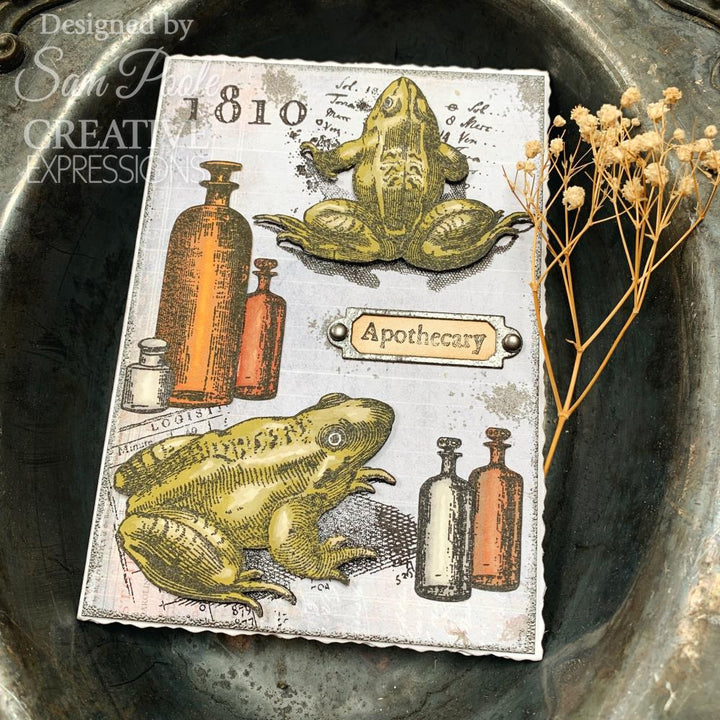 Creative Expressions 6"X8" Clear Stamp Set: Witches Brew, By Sam Poole (5A002B5W1GDNG)