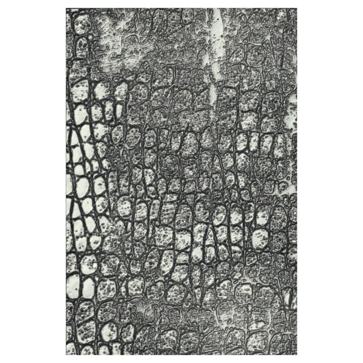 Tim Holtz 3D Texture Fades Embossing Folder: Reptile, by Sizzix (666296)