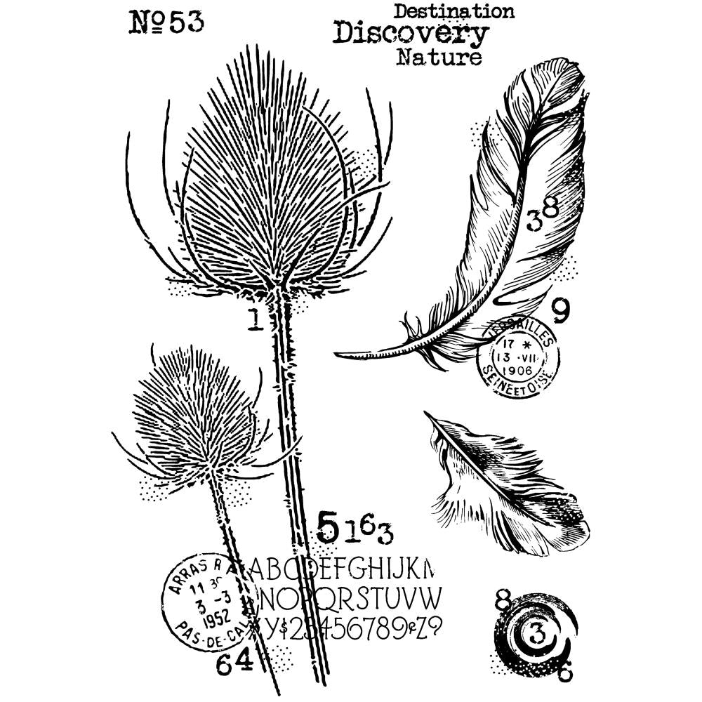 Woodware 4"X6" Clear Stamp Singles: Discovery (FRS1025)
