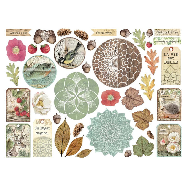 Stamperia Forest Die-Cuts (5A002CGQ1GG01)