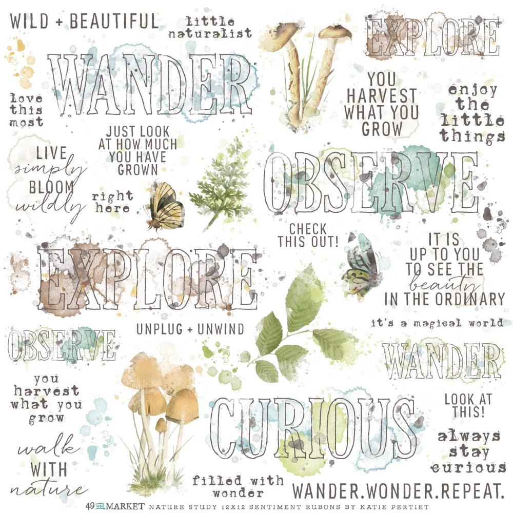 49 and Market Vintage Artistry Nature Study 12"X12" Rub-Ons: Sentiments (NS23336)