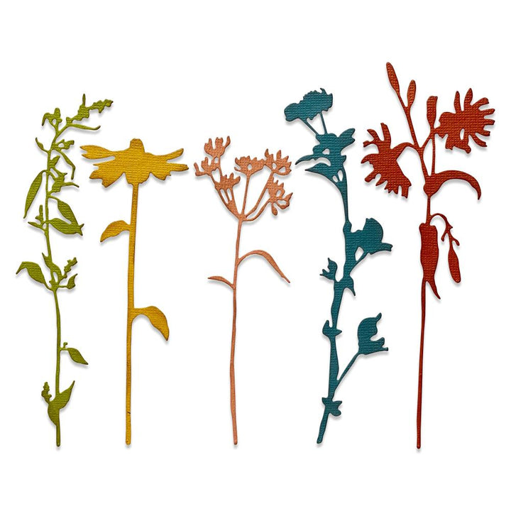 Sizzix Thinlits Dies: Wildflower Stems #3, 5/Pkg, By Tim Holtz (665221)