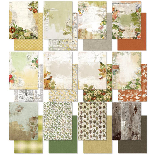 49 and Market Vintage Orchard 6"X8" Collection Pack (5A0029XW1GDBD)