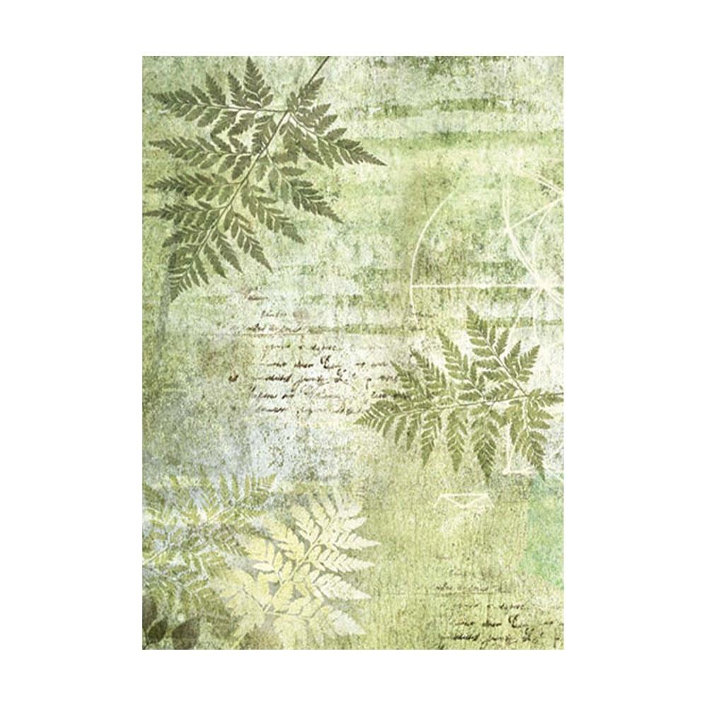 Stamperia Forest A6 Assorted Rice Paper Backgrounds, 8/Pkg (5A002CGN1GG13)