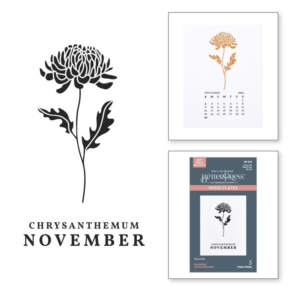 Spellbinders Florals Through The Year Press Plates: November Chrysanthemum (5A002HXH1GKHP)