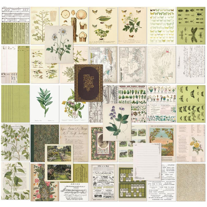 49 and Market Color Swatch: Grove 6"x8" Collage Sheets, 40/Pkg (CSG25118)