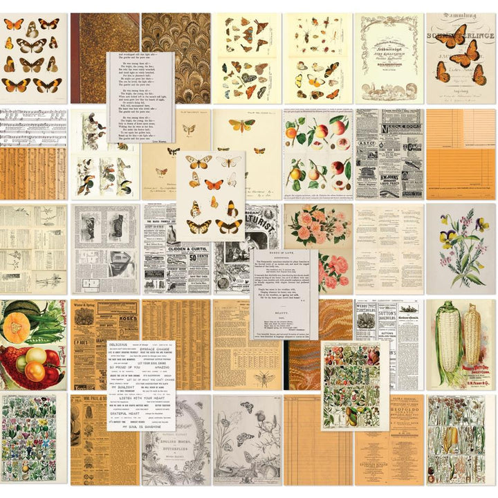 49 and Market Color Swatch: Peach 6"x8" Collage Sheets, 40/Pkg (CSP24982)