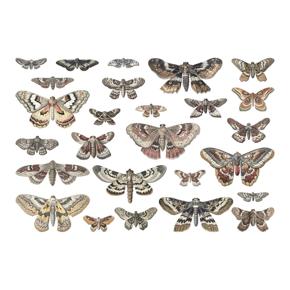 Tim Holtz Idea-ology: Halloween 2024 - Transparencies, Moths (5A0026RY1G96M)