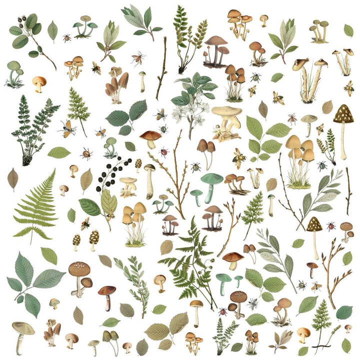 49 and Market Vintage Artistry Nature Study Laser Cut Outs: Mushrooms & Foliage (NS23190)
