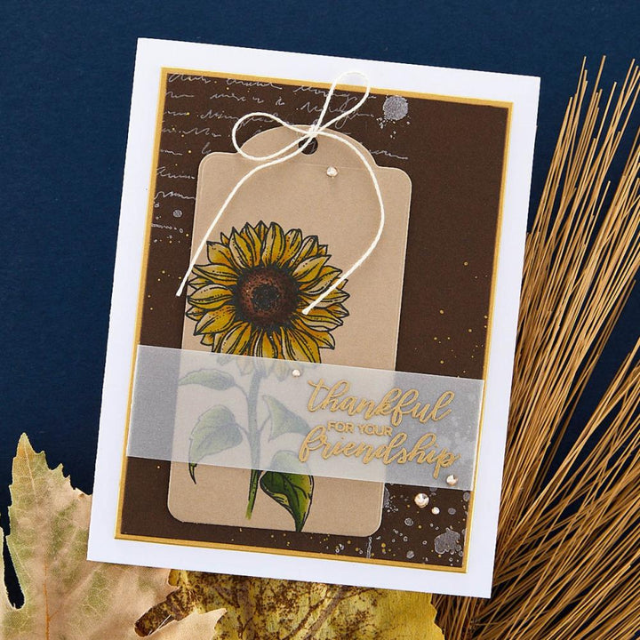 Spellbinders Serenade of Autumn Clear Stamp Set: Sunflower Greetings (STP213)
