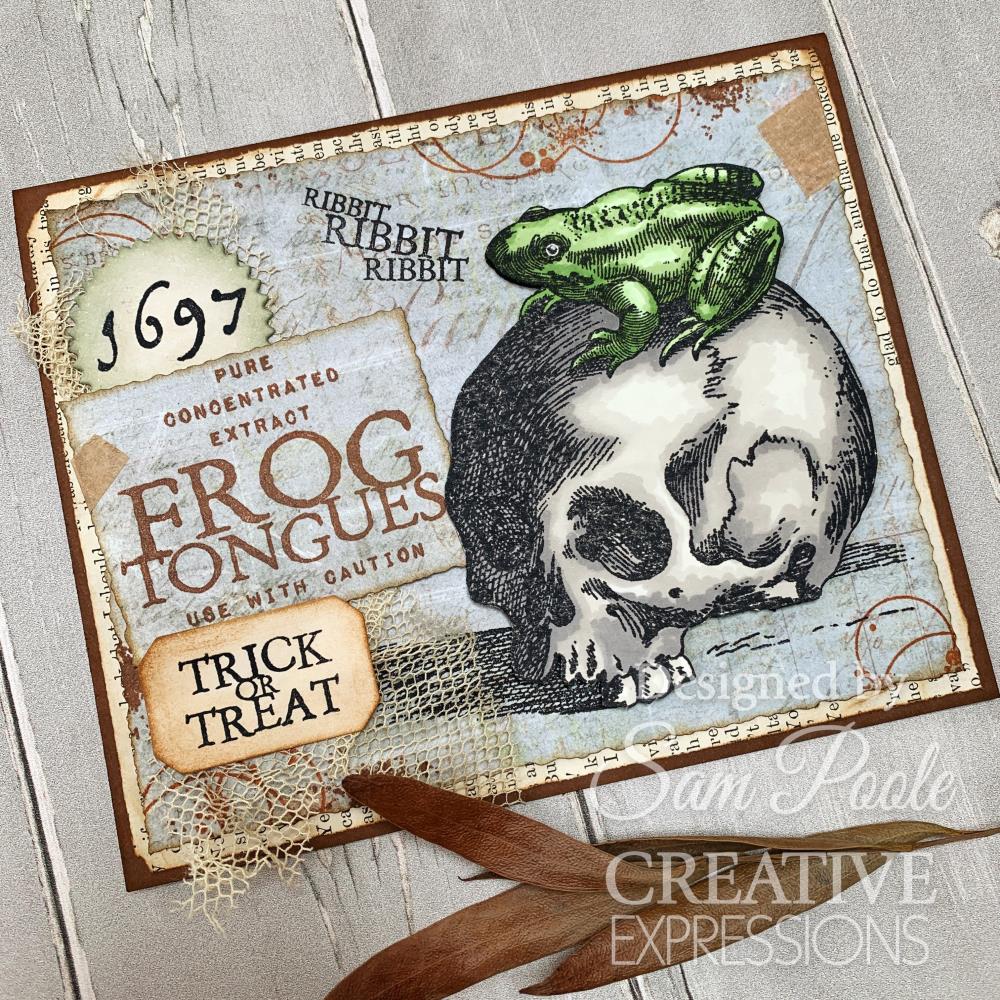 Creative Expressions 6"X8" Clear Stamp Set: Witches Brew, By Sam Poole (5A002B5W1GDNG)