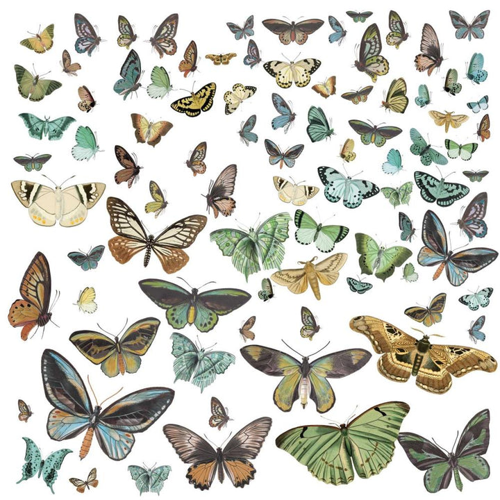 49 and Market Vintage Artistry Nature Study Laser Cut Outs: Wings (NS23183)