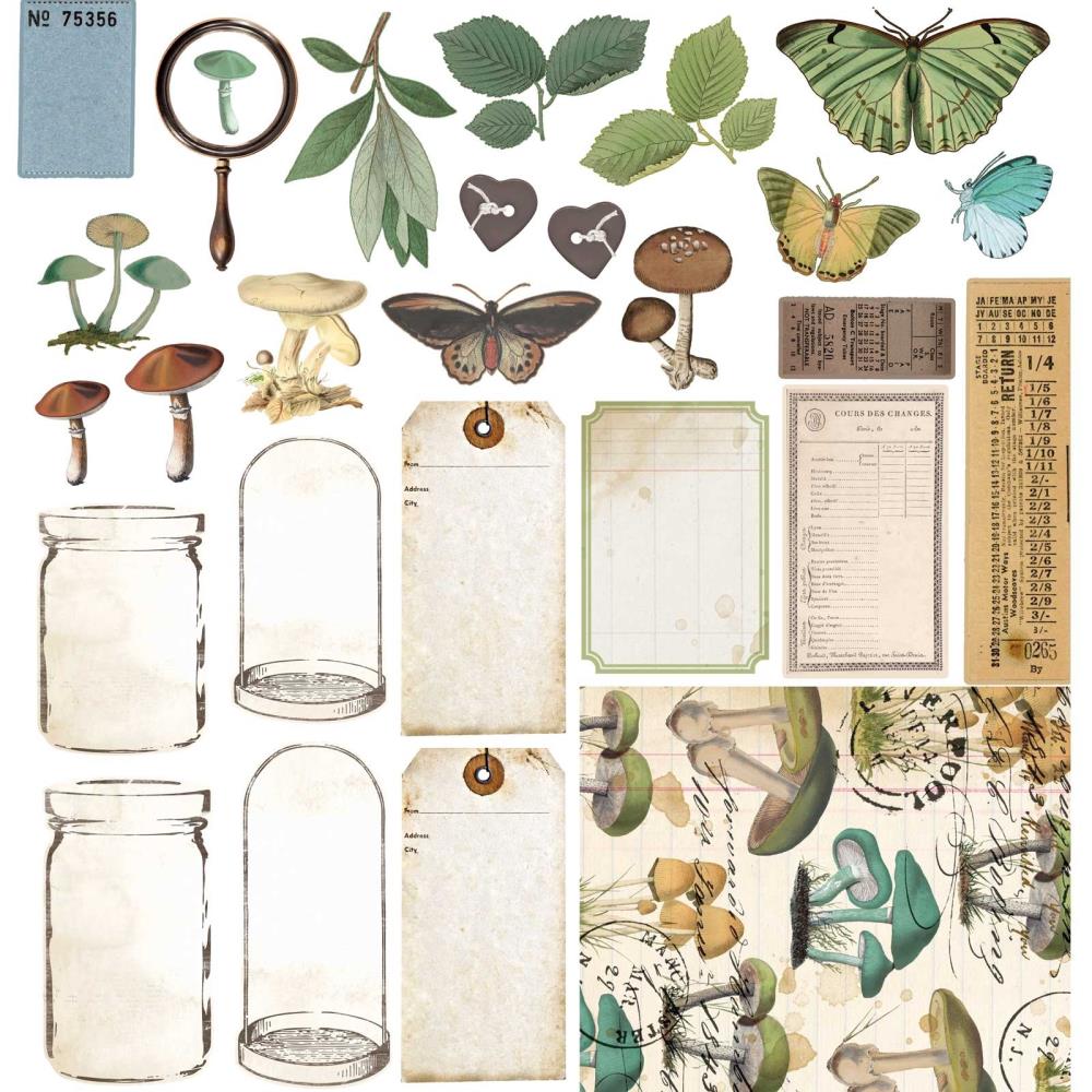 49 and Market Vintage Artistry Nature Study 12"X12" Collection Pack (NS41657)