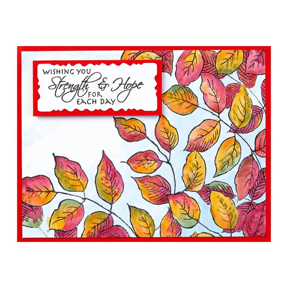 Stampendous Beautiful Backgrounds Cling Rubber Stamp: Leafy Lines (5A002C8W1GFSL)