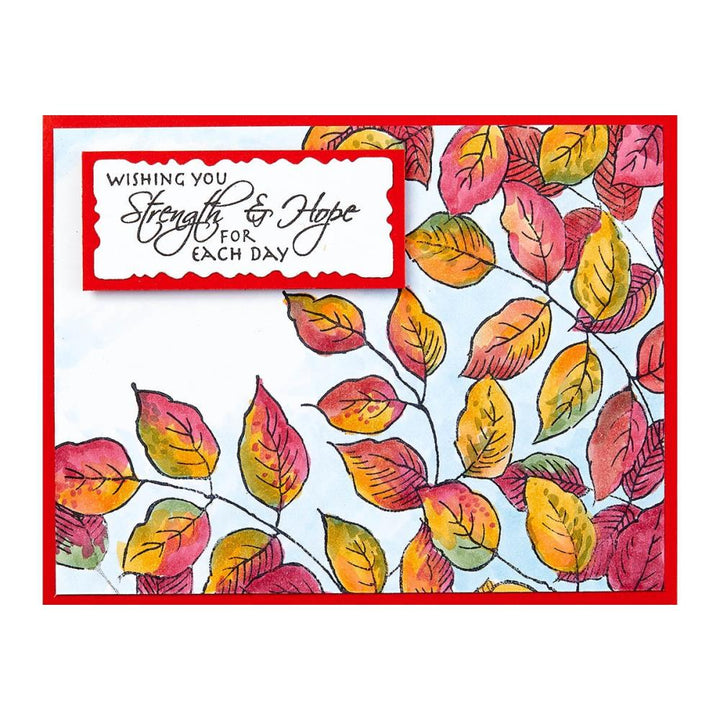 Stampendous Beautiful Backgrounds Cling Rubber Stamp: Leafy Lines (5A002C8W1GFSL)