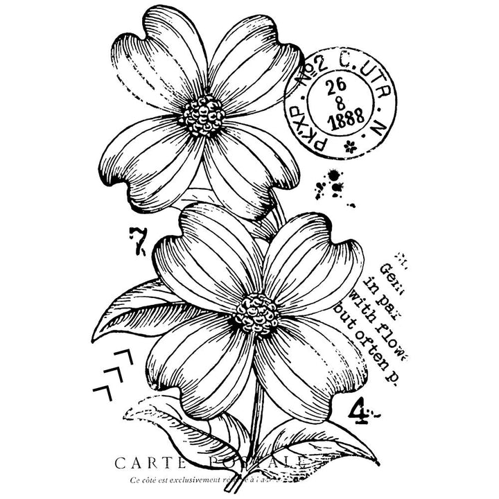 Woodware 3"X4" Clear Stamp: Dogwood Flowers (FRM062)