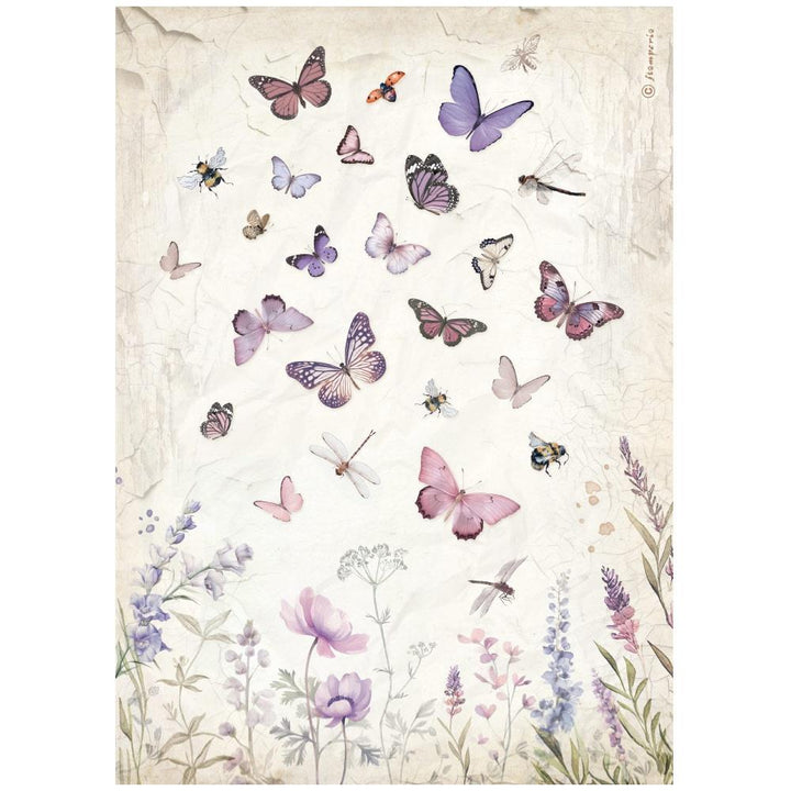 Stamperia Lavender A4 Assorted Rice Paper, 6/Pkg (5A0027GG1G9SK)