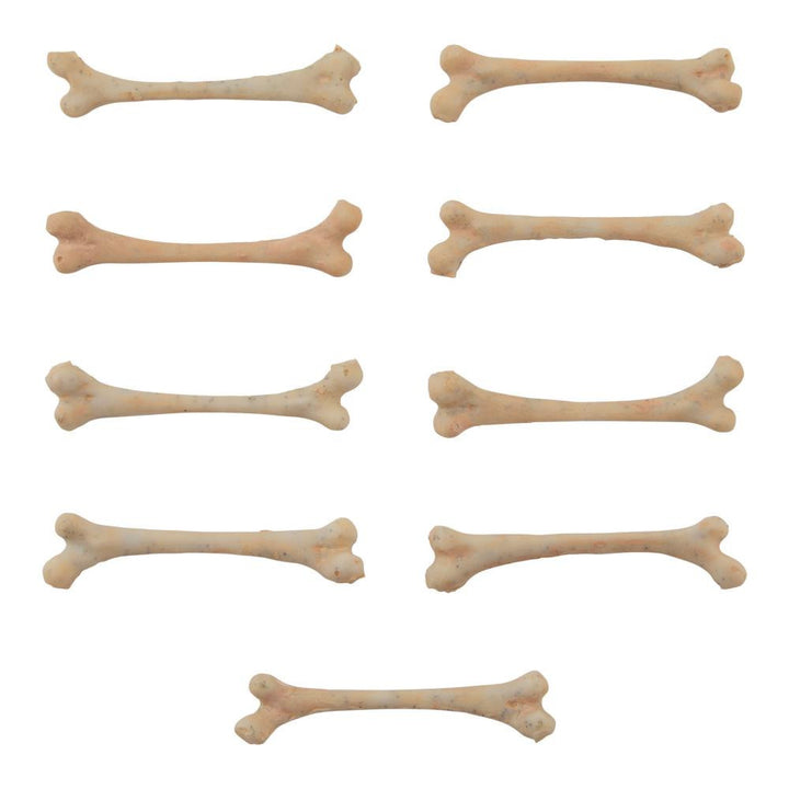Tim Holtz Idea-Ology Skulls + Bones (TH94339)