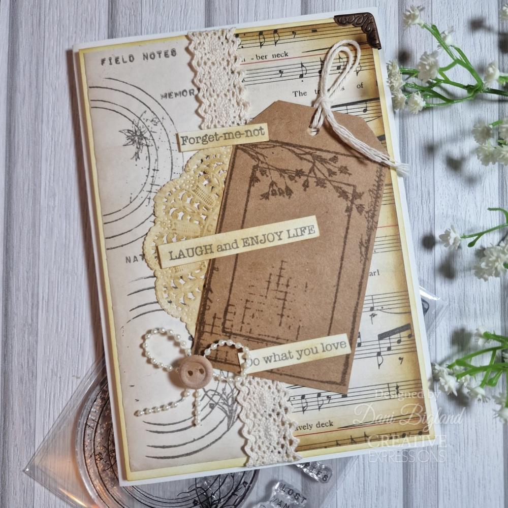 Creative Expressions 6"X4" Clear Stamp Set: Botanical Frames, By Sam Poole (CEC1032)