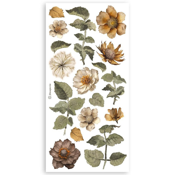 Stamperia Golden Harmony Double-Sided Paper Cut-Outs, 4/Pkg (5A002CJ41GG0J)