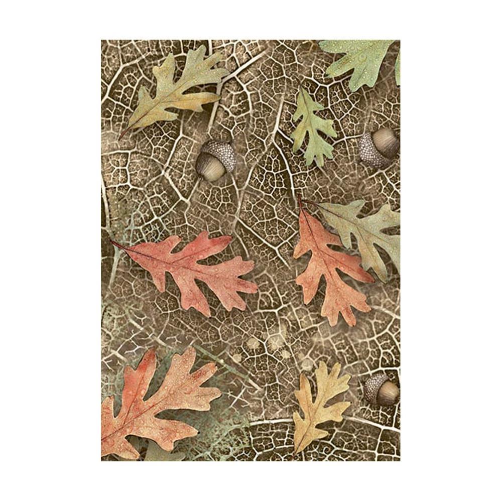 Stamperia Forest A6 Assorted Rice Paper Backgrounds, 8/Pkg (5A002CGN1GG13)