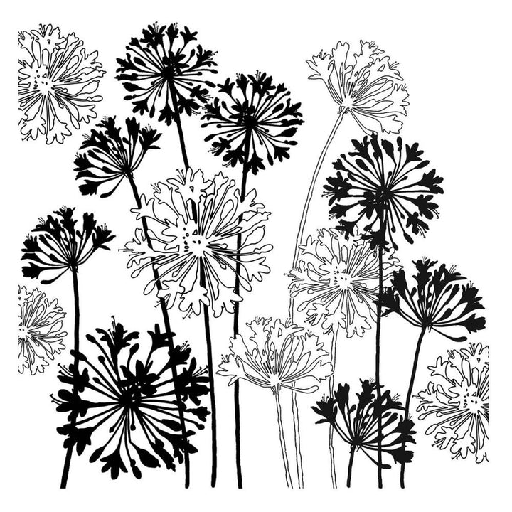 Stampendous Beautiful Backgrounds Cling Rubber Stamp: Agapanthus (5A002C911GFSC)