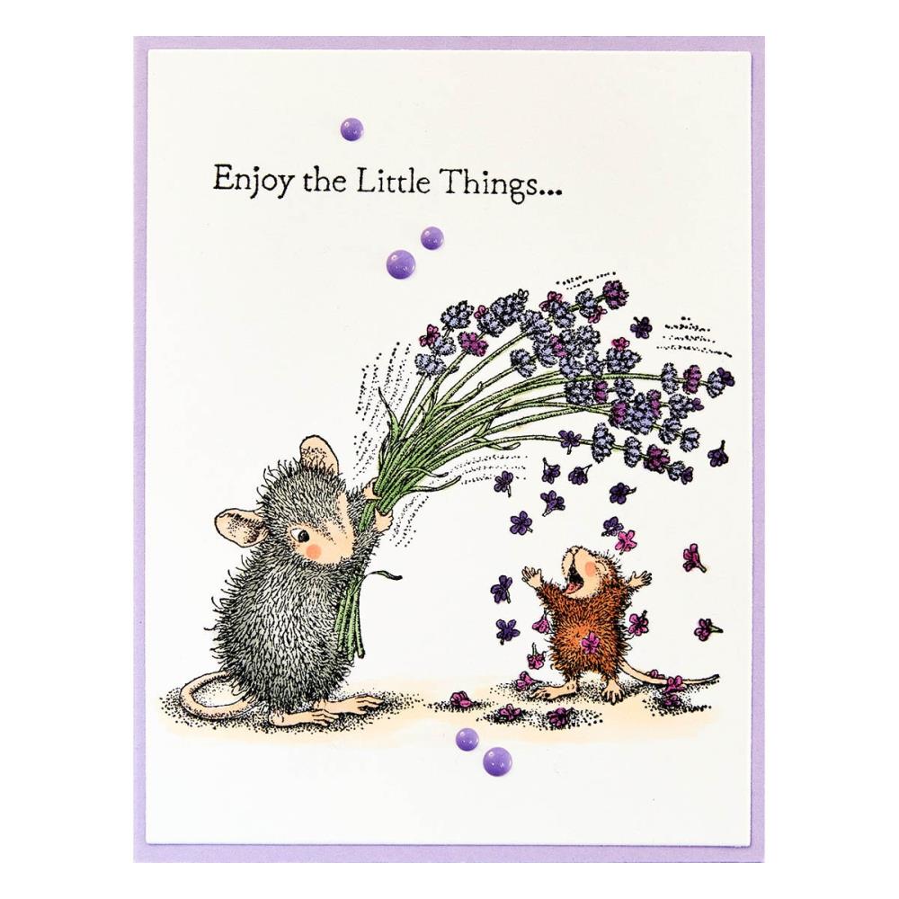 Stampendous Spring Has Sprung House Mouse Cling Rubber Stamp: Flower Shower (5A0022YQ1G60B)