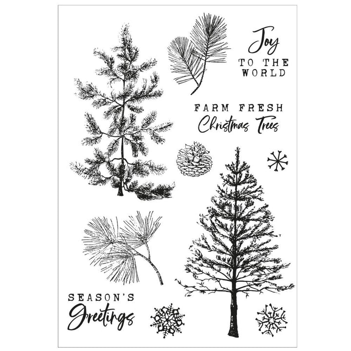 Sizzix/49 and Market A5 Clear Stamps With Framelits Die: Pine Holidays (5A0024101G79Z)