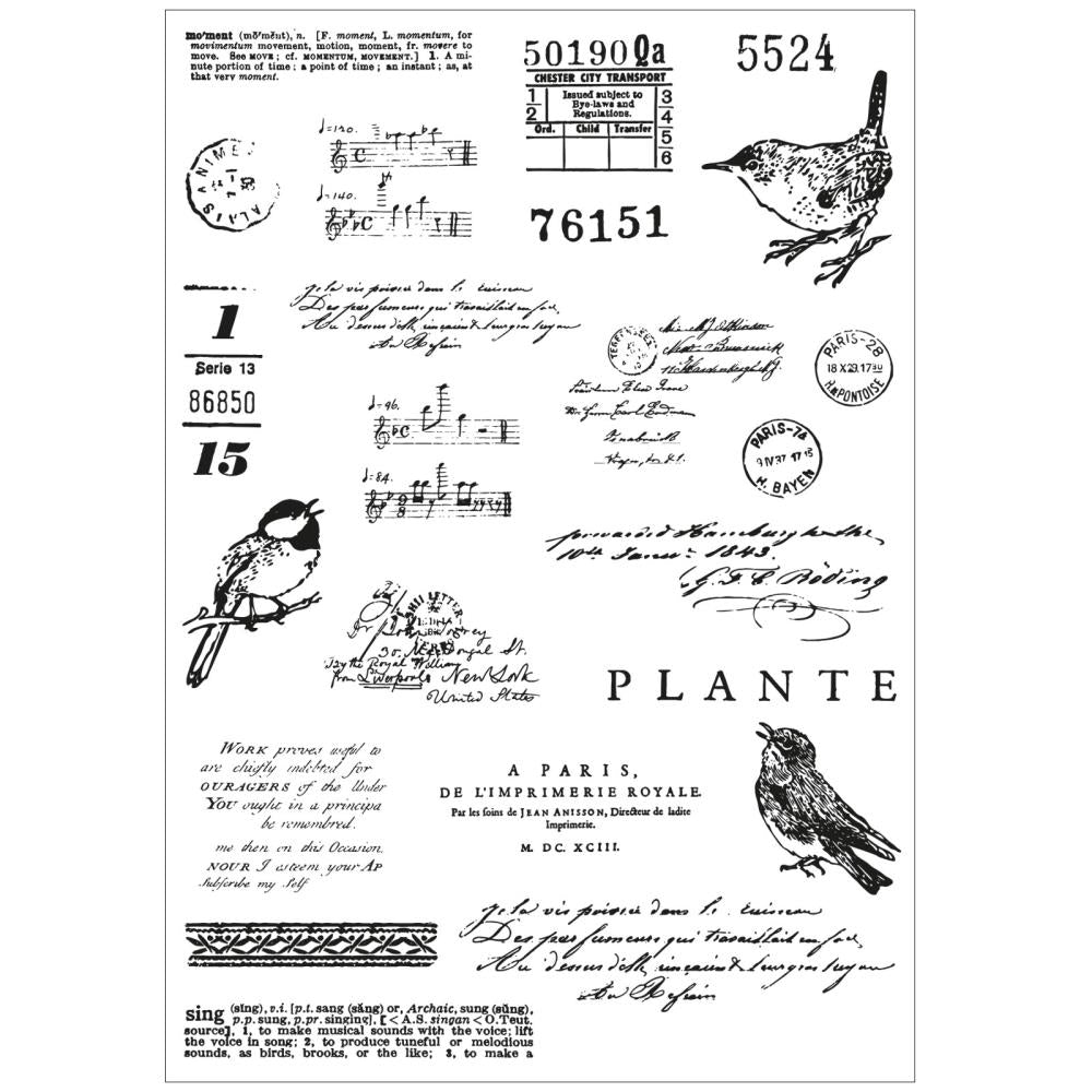 Sizzix/49 and Market A5 Clear Stamps With Framelits Die: Bird Song (5A0024151G7BP)