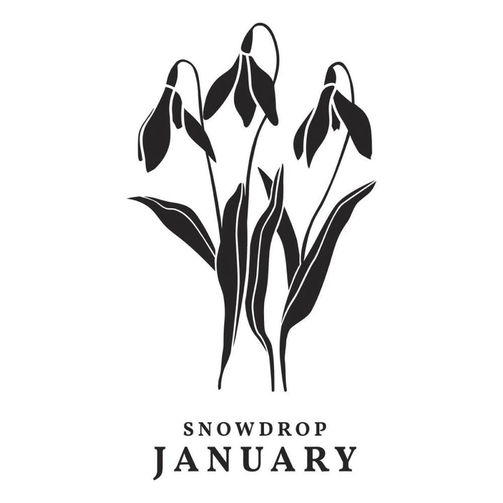 Spellbinders Florals Through The Year Press Plates: January Snowdrop (5A002HXR1GKHG)