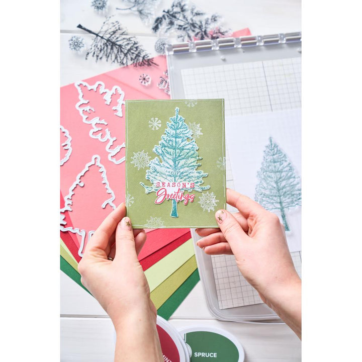 Sizzix/49 and Market A5 Clear Stamps With Framelits Die: Pine Holidays (5A0024101G79Z)